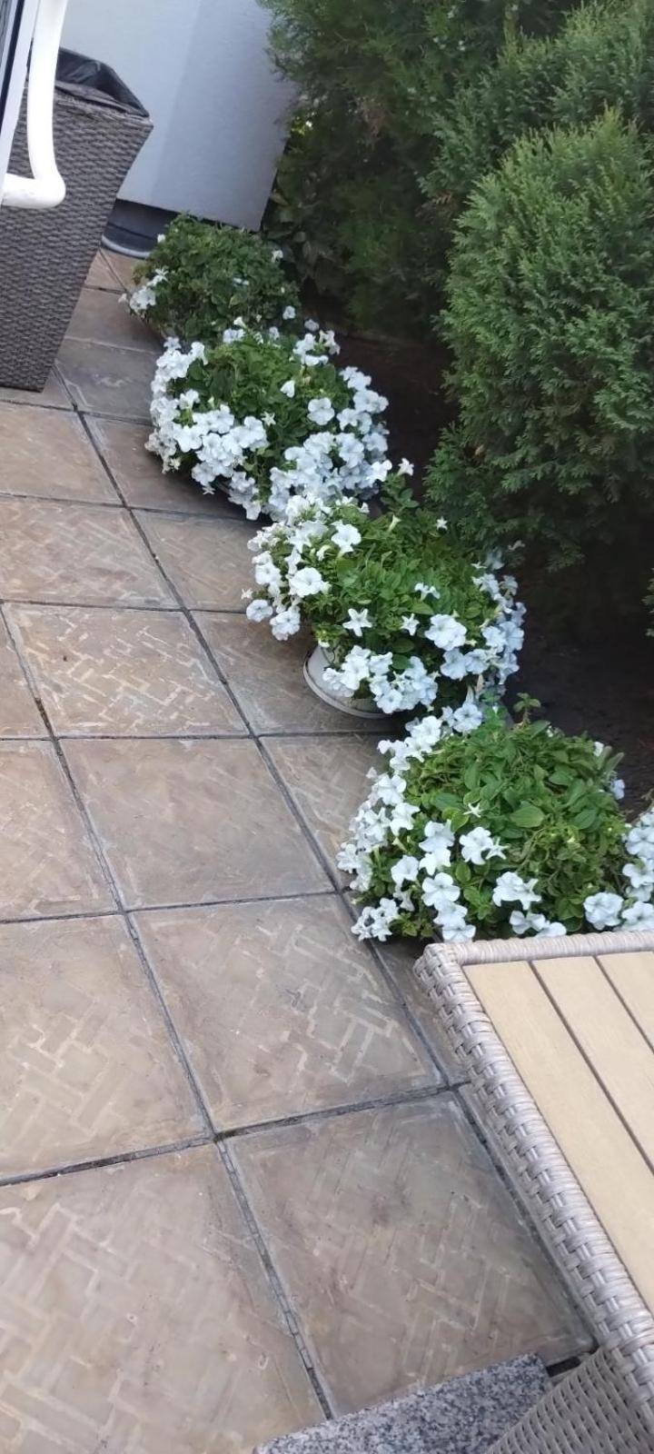 Шляпа Hotel Днепър Екстериор снимка